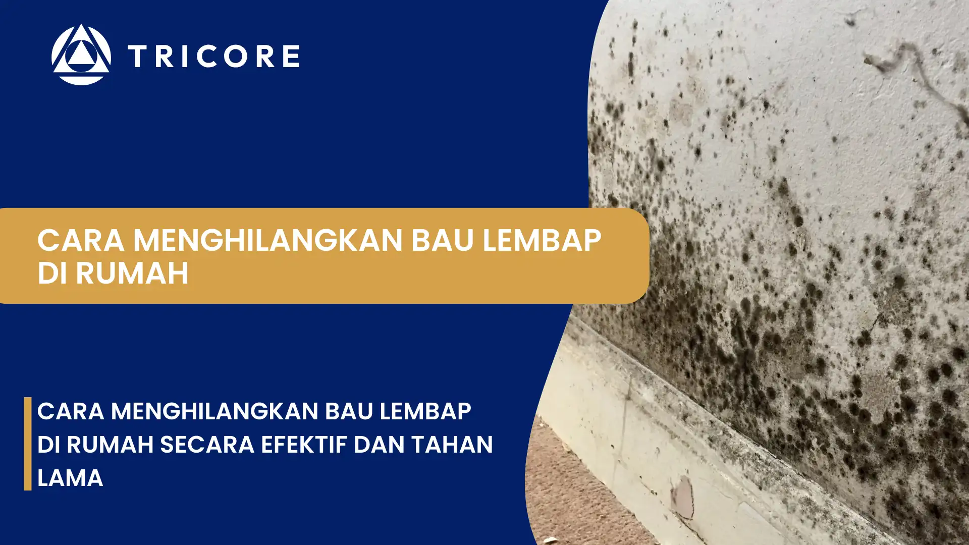 Cara Menghilangkan Bau Lembap