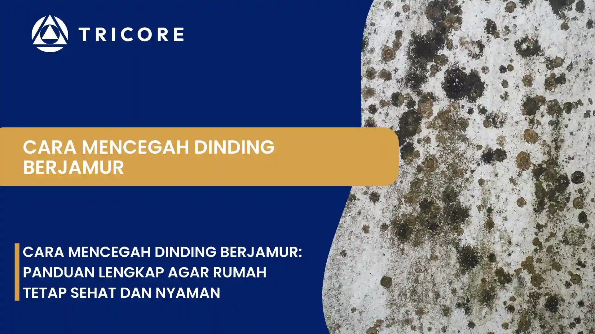 Cara Mencegah Dinding Berjamur