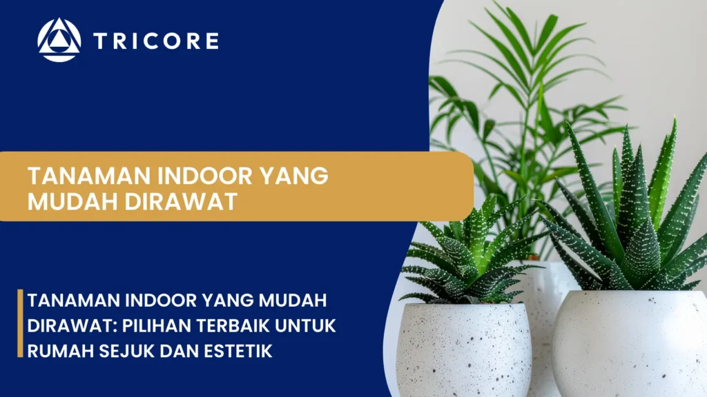 Tanaman Indoor yang Mudah Dirawat