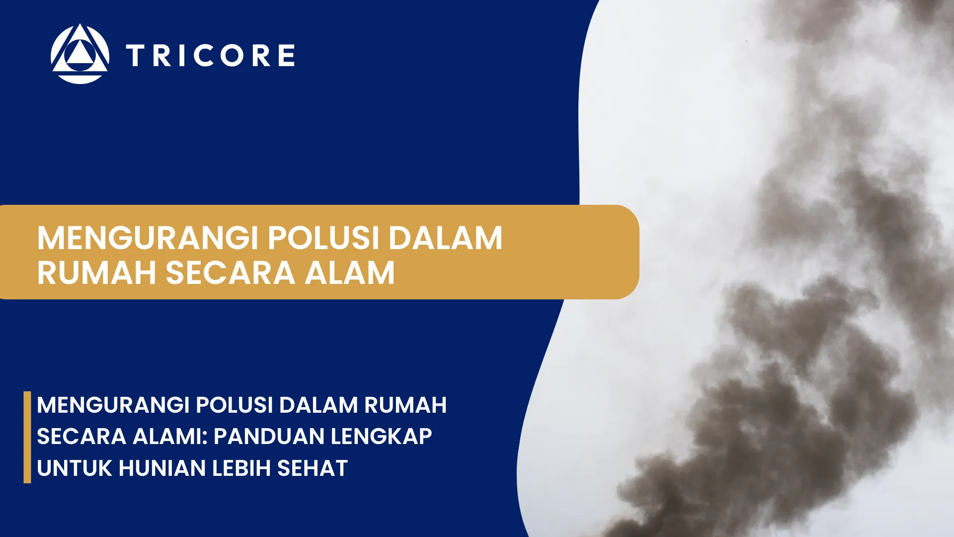 Mengurangi Polusi Dalam Rumah