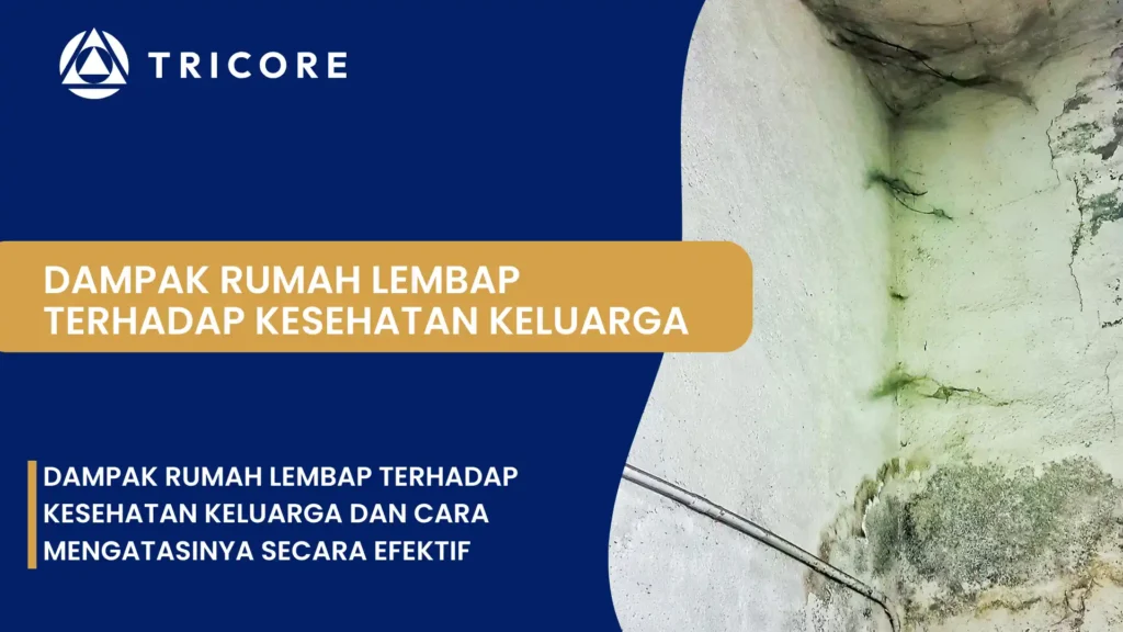Dampak Rumah Lembap terhadap Kesehatan Keluarga