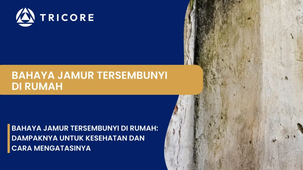 Bahaya Jamur Tersembunyi di Rumah