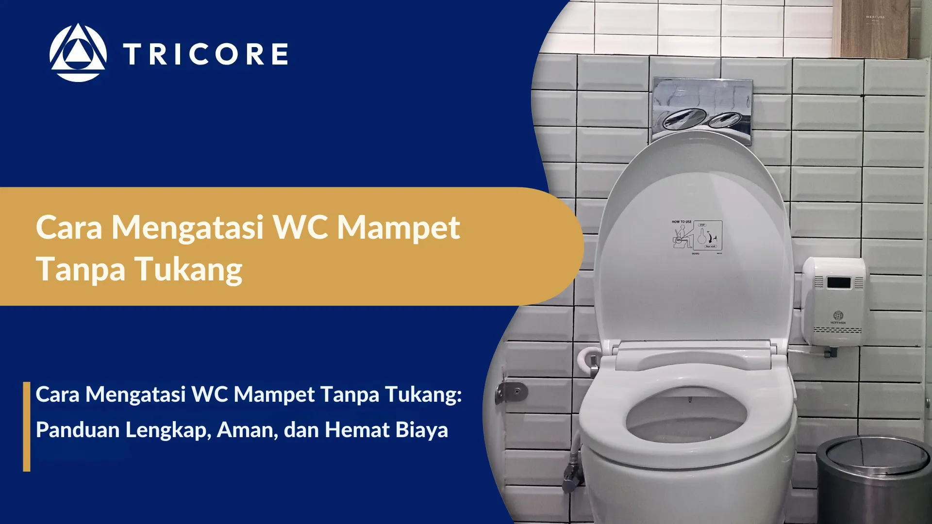 Cara Mengatasi WC Mampet