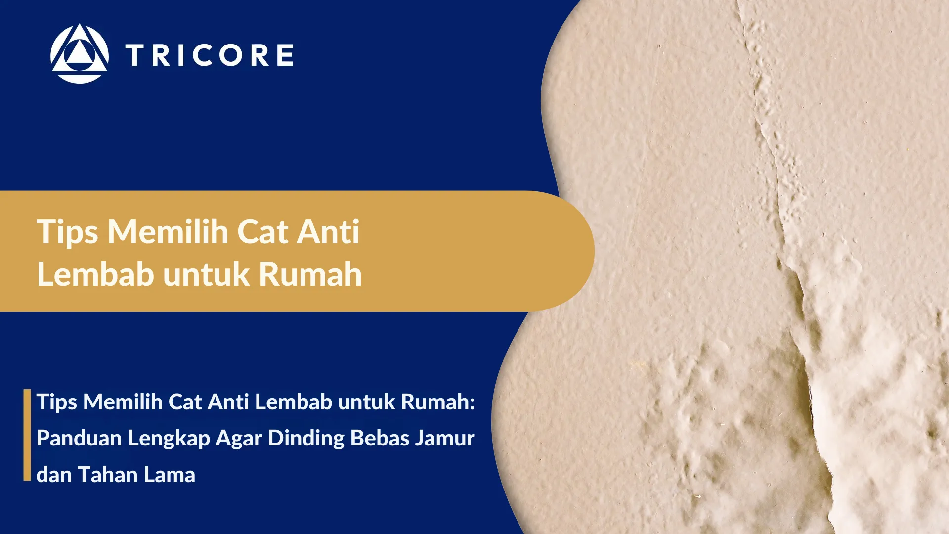 Tips Memilih Cat Anti Lembab untuk Rumah